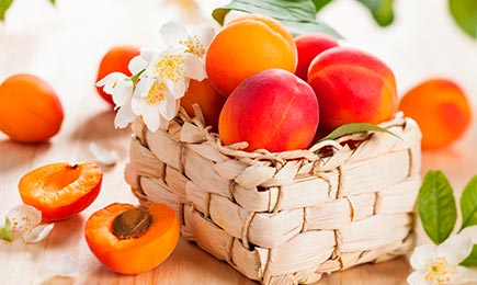 San gurmana | GradinaMax