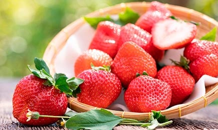 Sladkarija sreče | GradinaMax