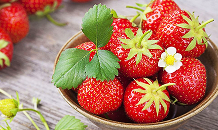 Sladkarija sreče | GradinaMax