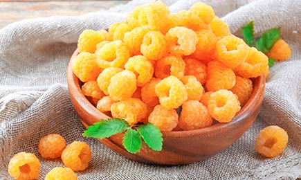 Sladke jagode | GradinaMax