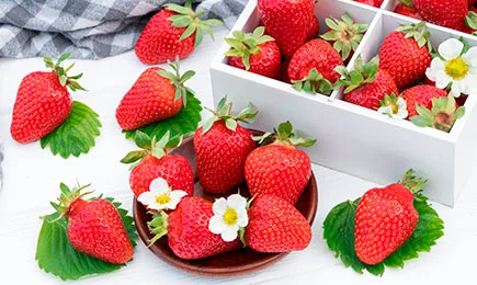 Sladkost medu | GradinaMax