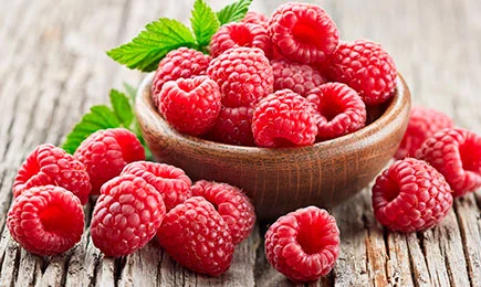 Vitaminska sladica | GradinaMax